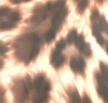 animal-print